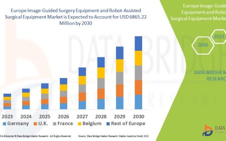 Europe Image-Guided Surgery Equipment and Robot-Assisted Surgical Equipment Market Size, Share, Trends, Demand, Growth and Competitive Outlook