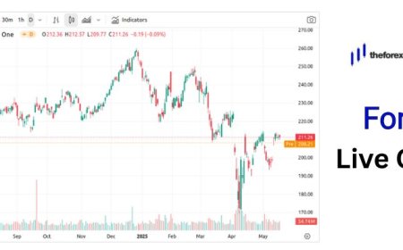 How to Read a Forex Live Chart and Make Smart Trades