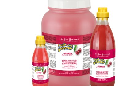 Salon Care Cherry Shampoo - IV San Bernard USA