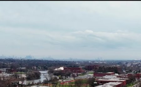 Top Dental Workshops for Advancing Your Clinical Skills