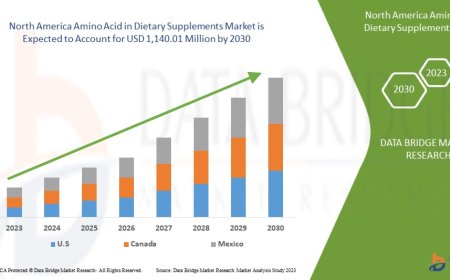North America Amino Acid in Dietary Supplements Market Value: Growth, Share, Size, Analysis, and Insights