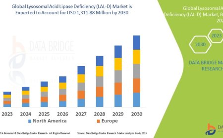 Lysosomal Acid Lipase Deficiency (LAL-D) Market Research Report: Growth, Share, Value, Size, and Insights