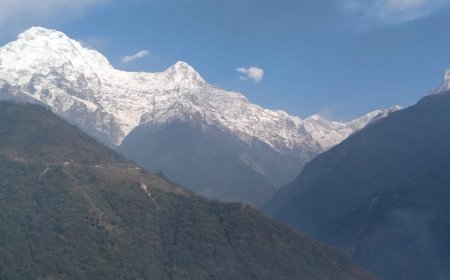 How to Survive the Spine-Chilling Ghorepani Poon Hill Trek