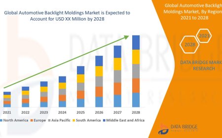 Automotive Backlight Moldings Market Companies: Growth, Share, Value, Analysis, and Trends