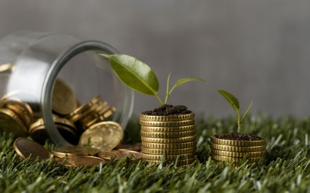 Transform Your Back Office Operations With a Mutual Fund Software for Distributors