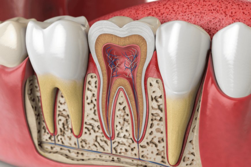 Understanding Root Canal Therapy in Grande Prairie: What You Need to Know