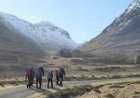 How Bad Is Midge Season in Scotland for Tourists?