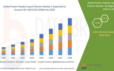 Power-Packed Liquid Vitamin Market Demand: Growth, Share, Value, Size, and Insights