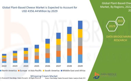 Plant-Based Cheese Market Revenue Analysis: Growth, Share, Value, Size, and Insights
