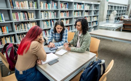 Professional HND Assignment Help: A Pathway to Academic Success