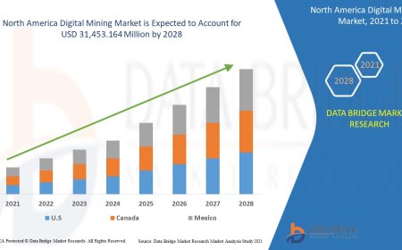 North America Digital Mining Market Overview: Key Drivers and Challenges
