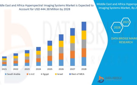 Middle East and Africa Hyperspectral Imaging Systems Market: Insights and Competitive Analysis