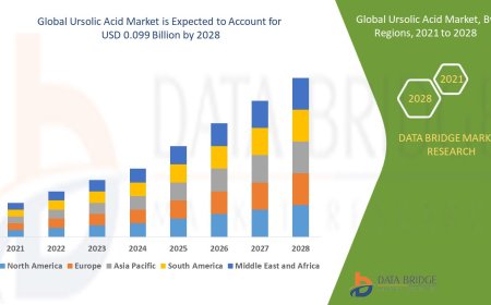 Ursolic Acid Market Trends: Growth, Share, Value, Size, and Insights