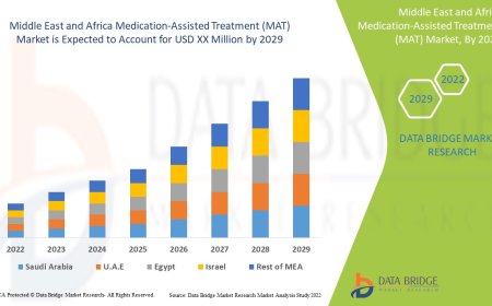 Middle East and Africa Medication-Assisted Treatment (MAT) Market: Insights and Competitive Analysis