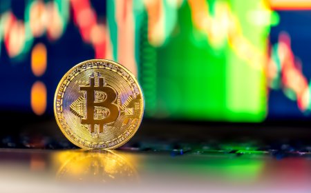 Top Crypto Presale Picks for 2025: Where Early Backers Are Placing Bets