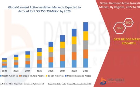 Garment Active Insulation Market Research Report: Growth, Share, Value, Size, and Insights