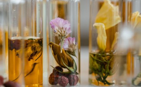 Rediscovering the Chypre Perfume Meaning with Floral Street Chypre Sublime