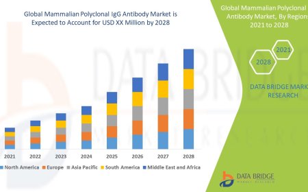 Mammalian Polyclonal IgG Antibody Market Revenue Forecast: Growth, Share, Value, Trends, and Insights