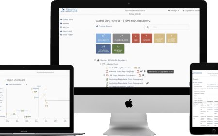 Professional Web Design Services in Dubai