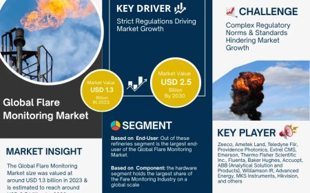 Flare Monitoring Market Report 2025–2030: Size, Share & Forecast