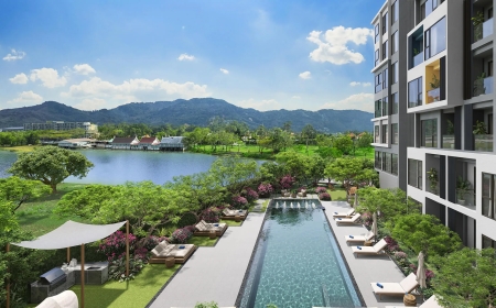 The Psychology of Home Buying: Why We Fall for Certain Properties