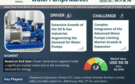 Water Pumps Market Segment, Companies, Trend & Growth Analysis 2025-30