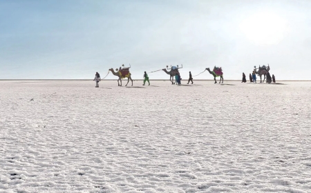 Discover the Wonders of Kutch with Bhuj Tour Packages