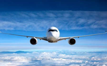 Claim missing miles using American Airlines Phone Number Georgia support