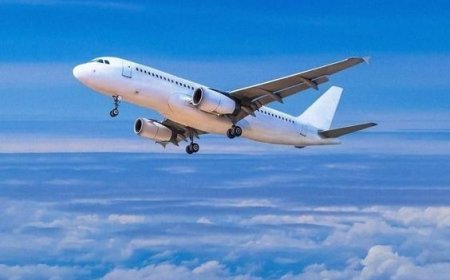 Which Terminal is Alitalia at JFK