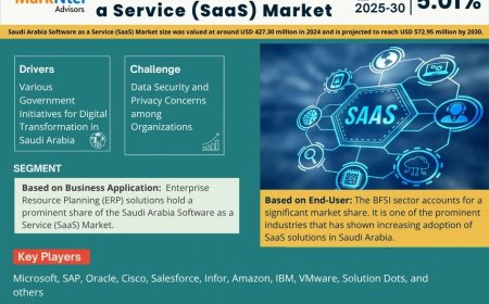 Saudi Arabia Software as a Service (SaaS) Market Overview 2025–2030: Share, Size & Future Trends