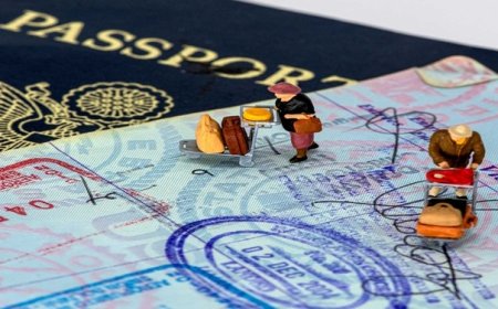 How to Apply for a British Passport: WhatsApp+44 7399 783799 Fake drivers license