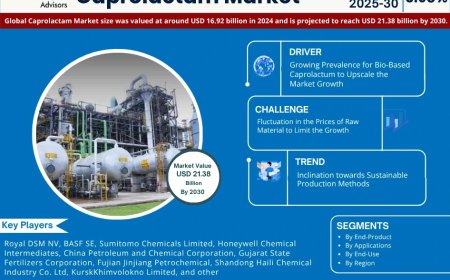 Caprolactam Market Overview 2025–2030: Share, Size & Future Trends