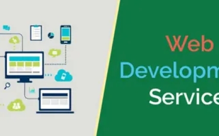 Professional Web Development Services in Pakistan