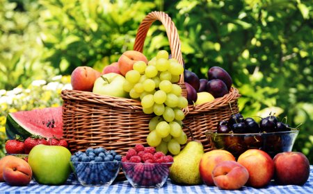 The Benefits of Fruits For Men are Numerous