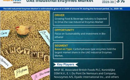 UAE Industrial Enzymes Market Overview 2025–2030: Share, Size & Future Trends