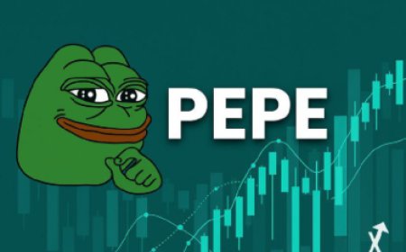 PEPE Coin Price - Breakout or Bull Trap ?