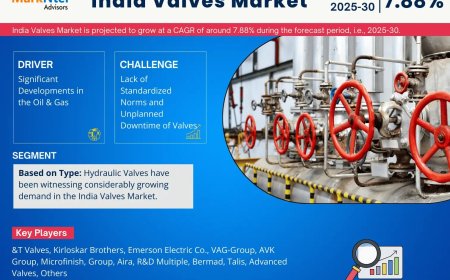 India Valves Market Research 2025–2030: Growth, Size & Opportunities