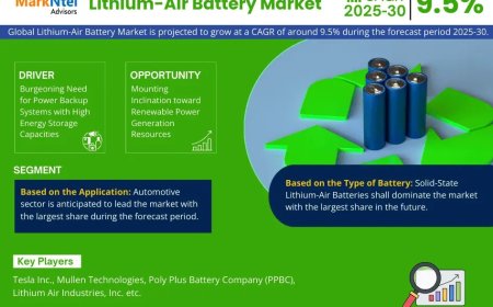 Lithium-Air Battery Market Overview 2025–2030: Share, Size & Future Trends