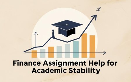 Finance Assignment Help For Academic Stability