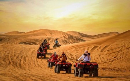 Dubai Desert Safari Tours: A Majestic Arabian Experience