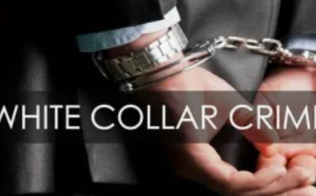 Understanding White Collar Crime and Finding the Right Lawyer in San Diego
