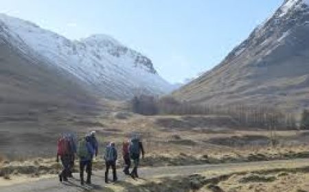 How Bad Is Midge Season in Scotland for Tourists?