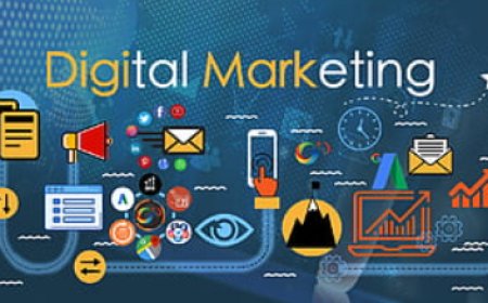 Shaping Digital Success: The Rise of Digital Marketing Agency Quetta