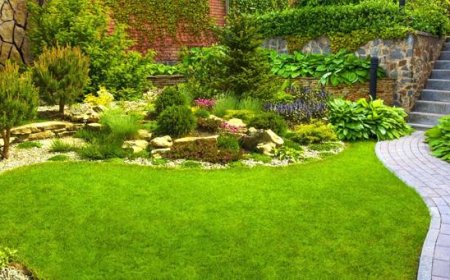 Transform Your Outdoor Space with Professional Artificial Grass Installation