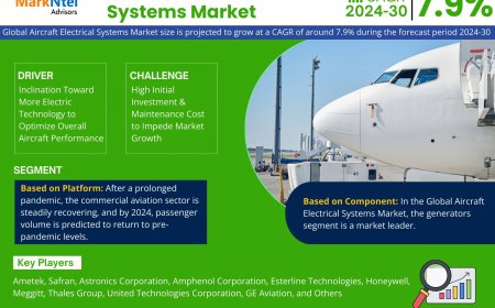 Aircraft Electrical Systems Market Overview 2024–2030: Share, Size & Future Trends