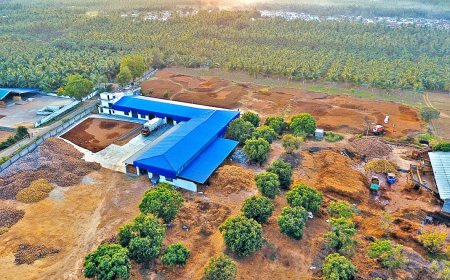 Coco Peat Manufacturing Plant Project Report 2025: Setup Details, Capital Investments and Expenses