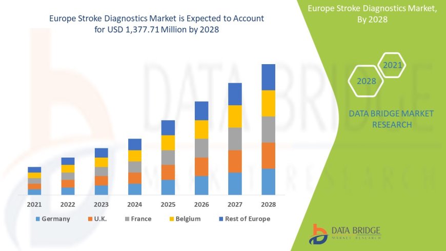Europe Stroke Diagnostics Market Industry Statistics: Growth, Share, Value, and Scope