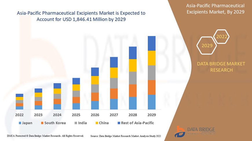 Asia-Pacific Pharmaceutical Excipients Market: Trends and Growth Opportunities