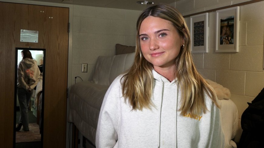 Basic Stussy Hoodie or Dandy? 2025 Style Guide