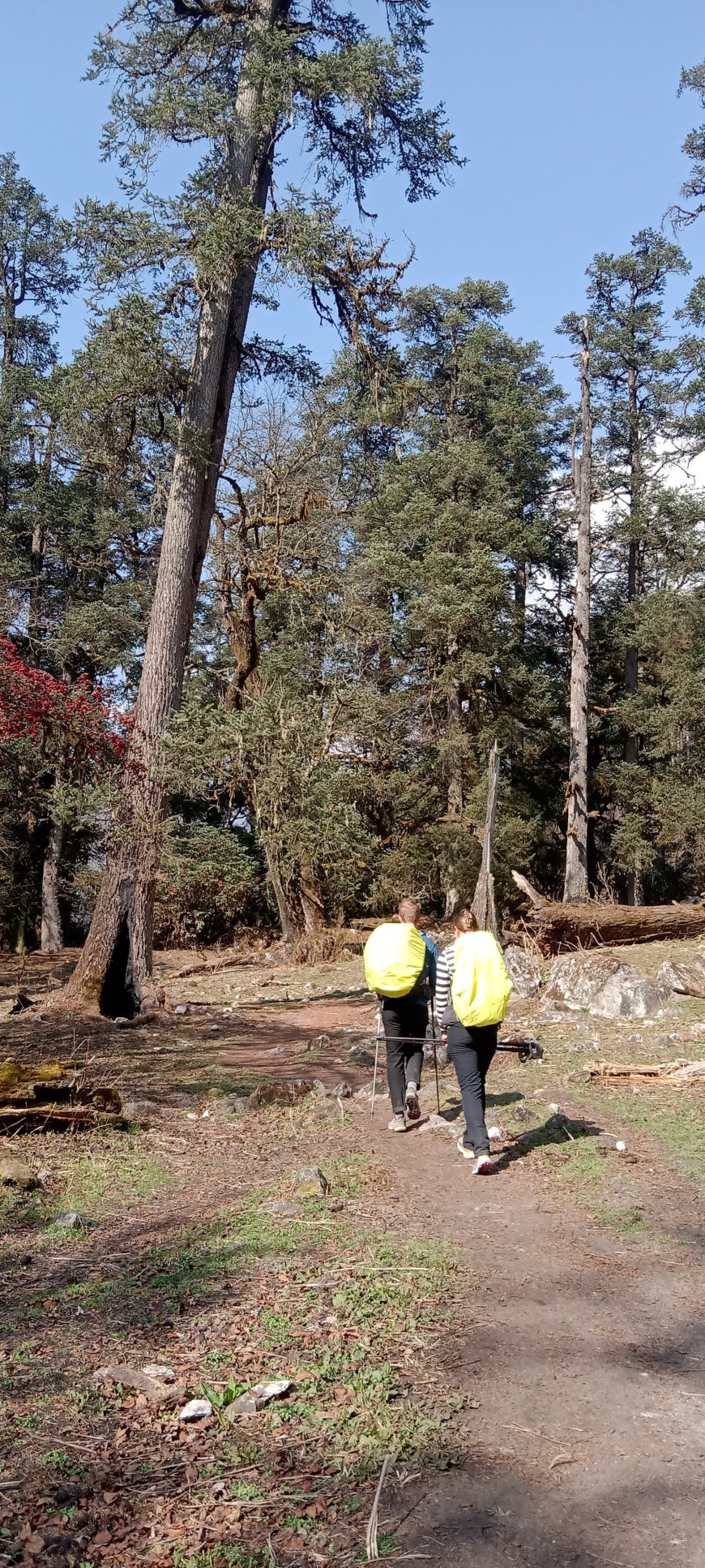 How to Pack for the Manaslu Circuit: Essential Gear List